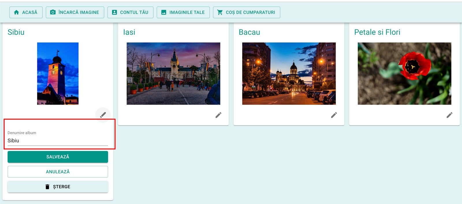 Meniul de editare a denumirii albumului