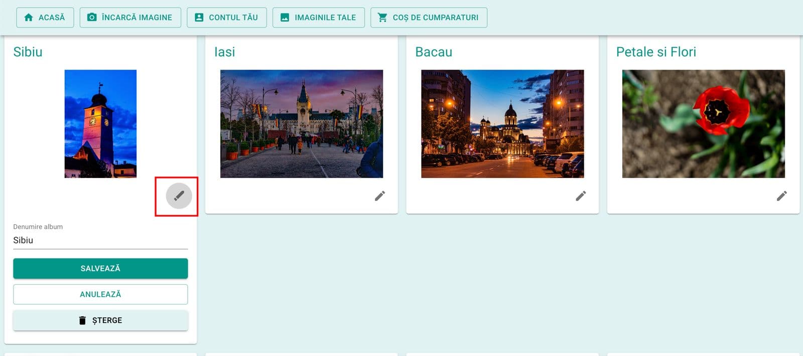 Iconița de editare a denumirii unui album